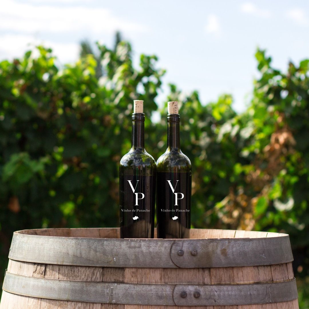 Vinho de Panache lifestyle photography for social